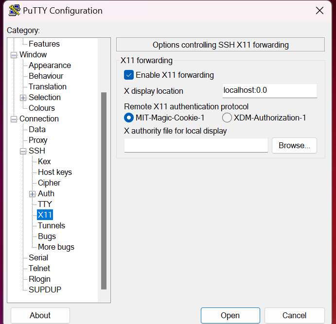 puTTy_x11_settings